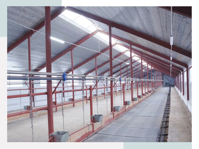 Строительство коровников в Балтийске от 612 руб.