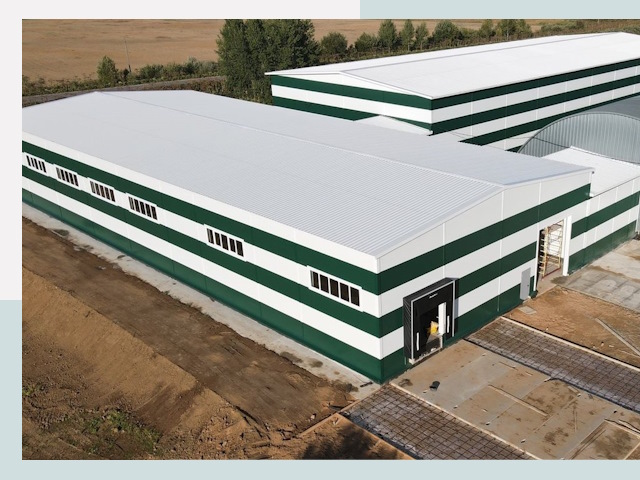 Строительство овощехранилищ в Балтийске